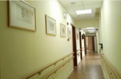 从2019年至今已办事8万多老年人、近12